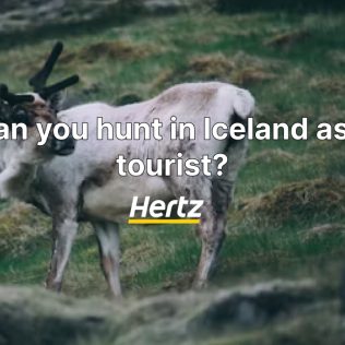 Can you hunt in Iceland as a tourist