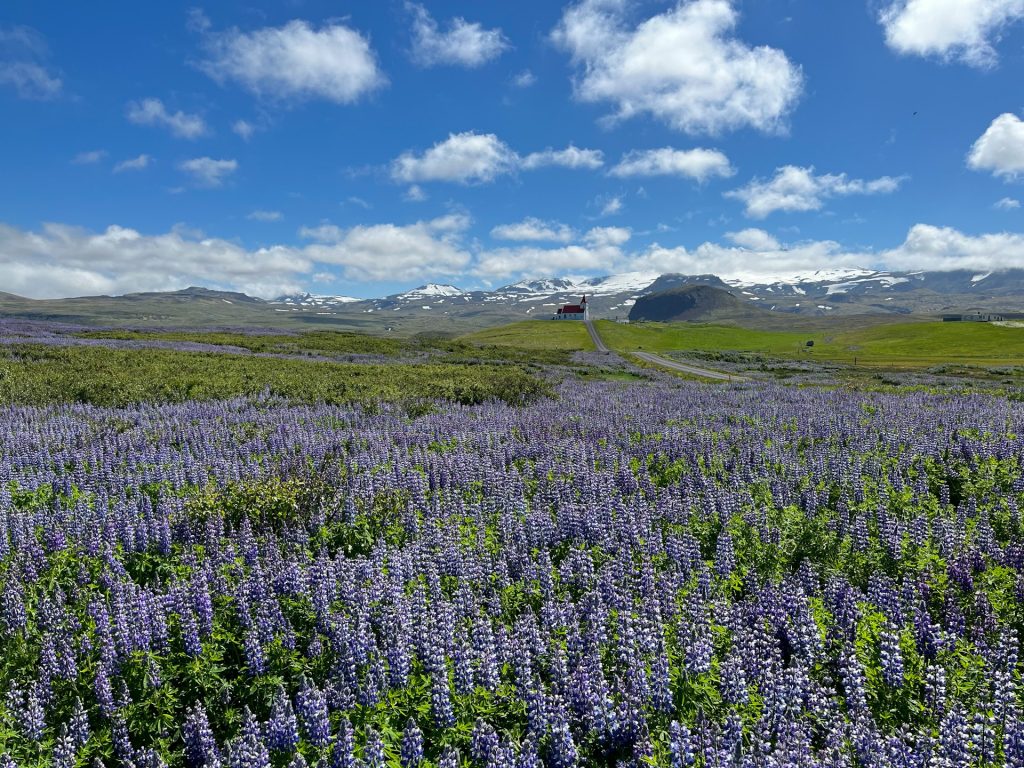 summer view of the Snæfellsnes Peninsula Iceland