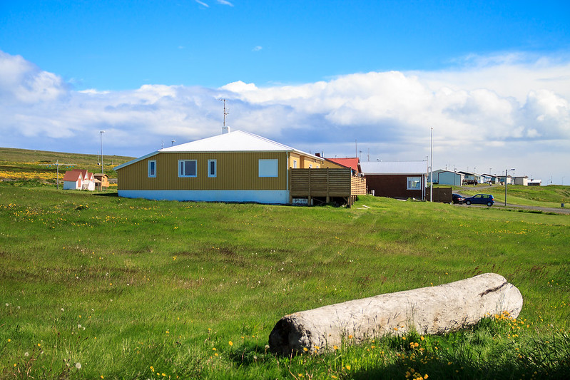 the grimsey island is the only place in Iceland inside artic circle