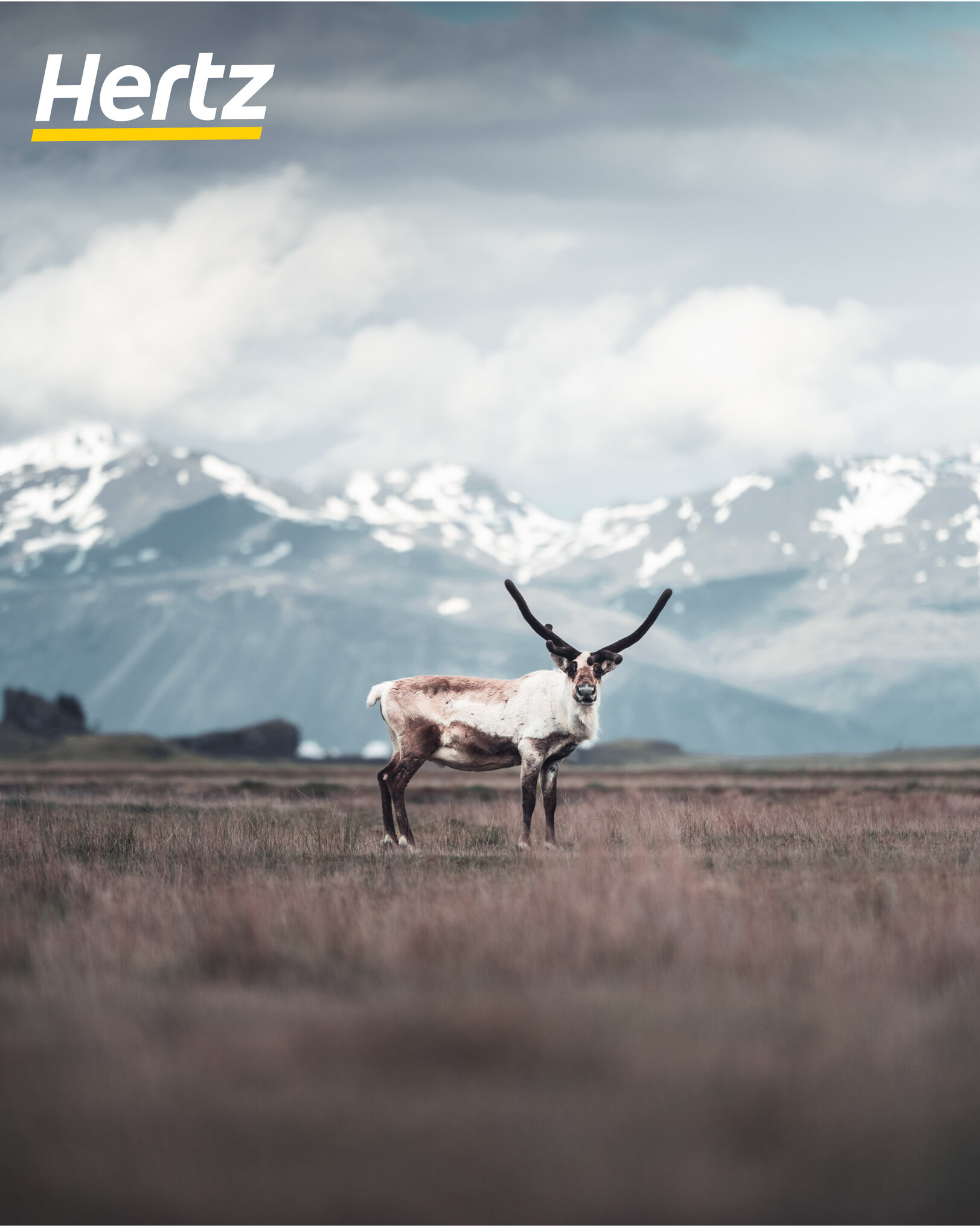 Conducir en Islandia en otoño.