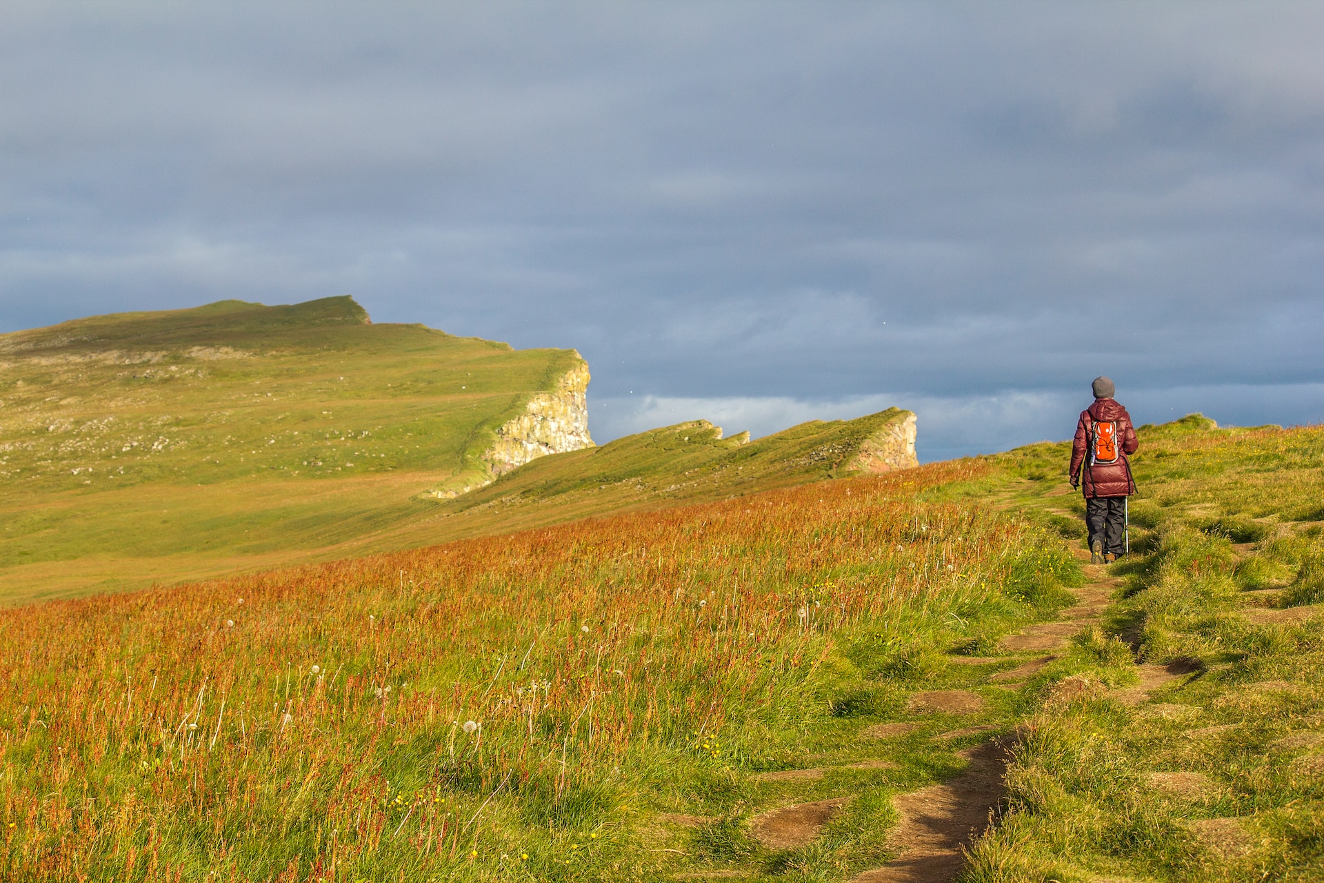 visit the Látrabjarg, Iceland for puffin