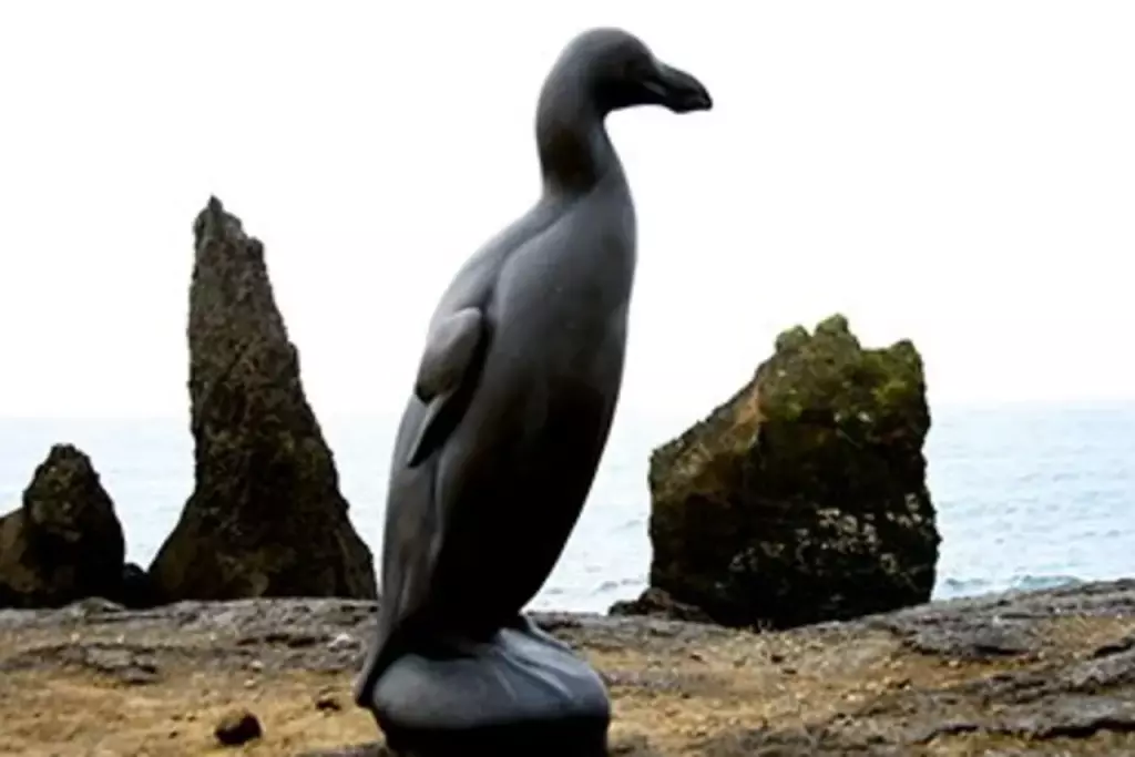 the Great Auk statue in Iceland