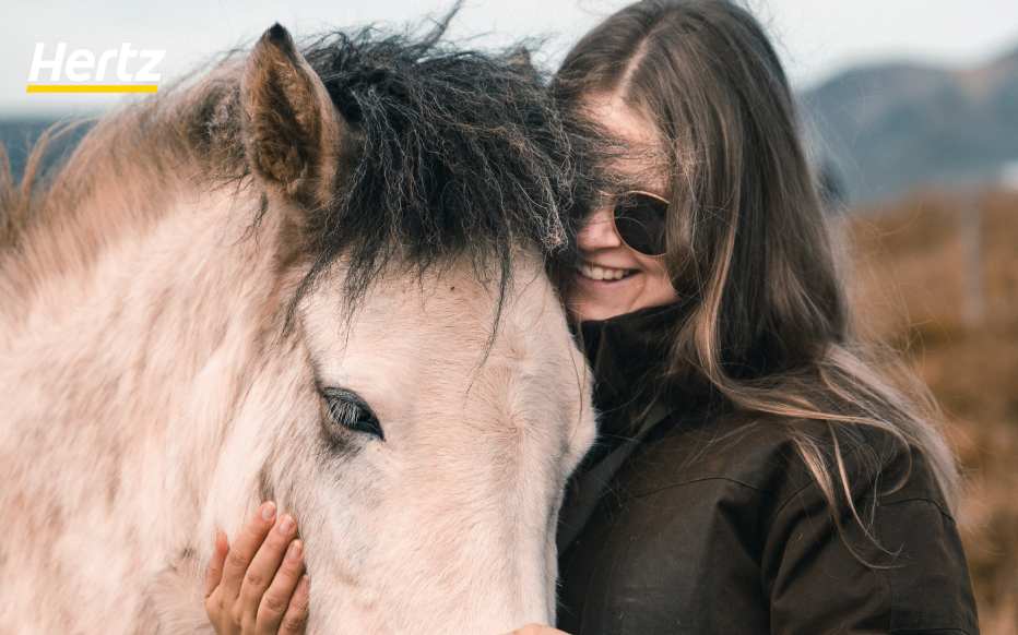 happy traveler with icelandic horse