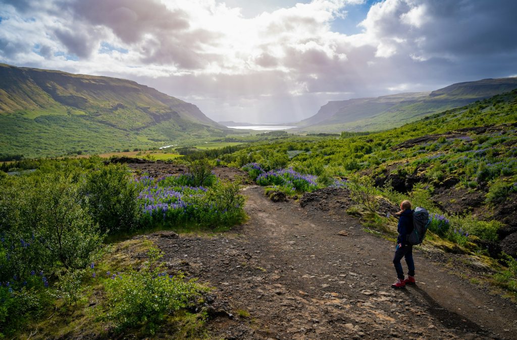 A Summer hike to the west Iceland Glymur waterfall