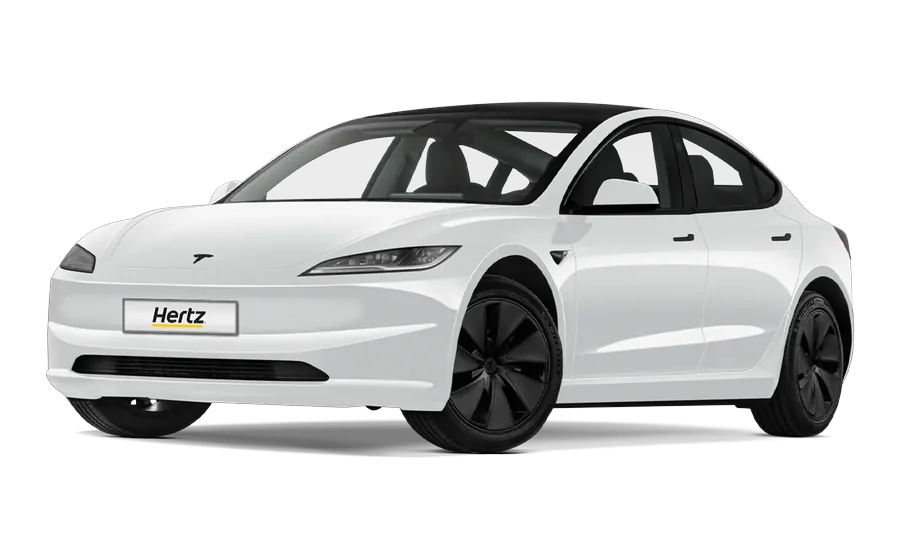 Tesla Model 3 rental in Iceland